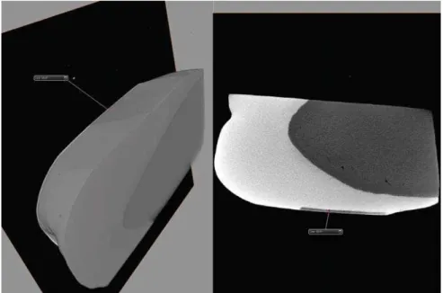 Figure 2- Typical 3D images of enamel blocks in the control group after pH cycling