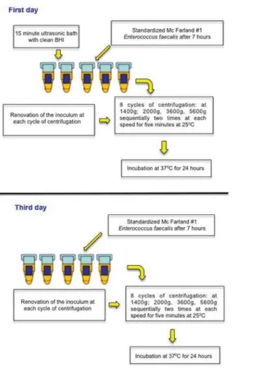 Figure 1- Flowchart of the contamination protocol