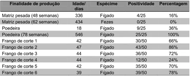 Tabela 1 – Resultados da PCR de acordo com as finalidades de produções avícolas industriais  e a proporção de aves positivas para FAdV dentro de cada lote avaliado