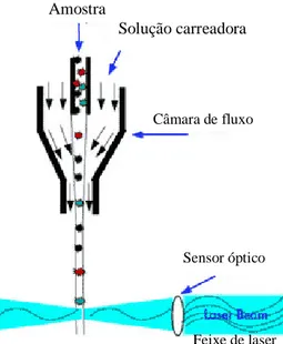Figura 1.Esquema do percurso da amostra no fluxo laminar (flow cell) num equipamento de citometria de  fluxo 