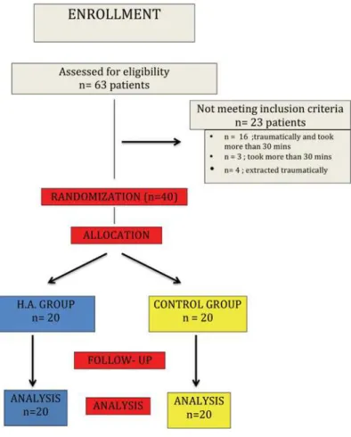 Figure 1-6WXG\ÀRZFKDUW