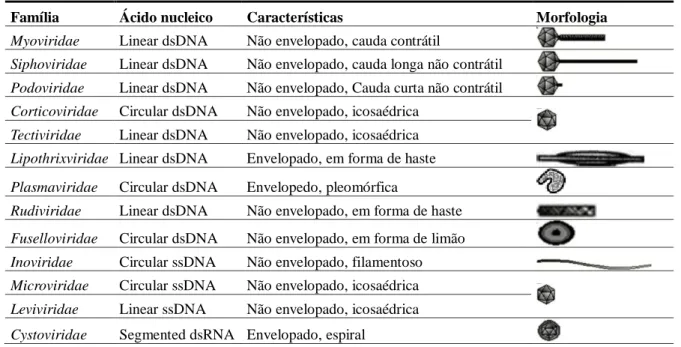 Tabela 1: Classificação da família segundo ácido nucléico características e morfologia com base no ICTV  