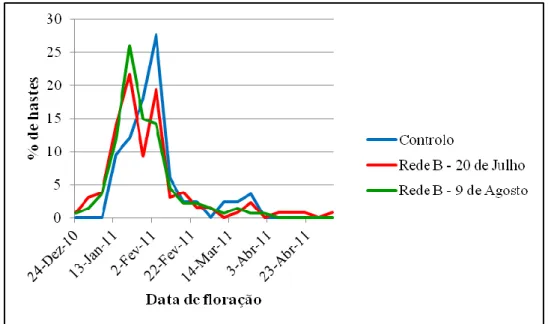 Figura  12:  Representação  gráfica  do  perfil  de  floração  das  hastes  reprodutivas  sem desponta, da cultivar „Tang o‟  da Ribeira Seca no ano cultural 2010/2011