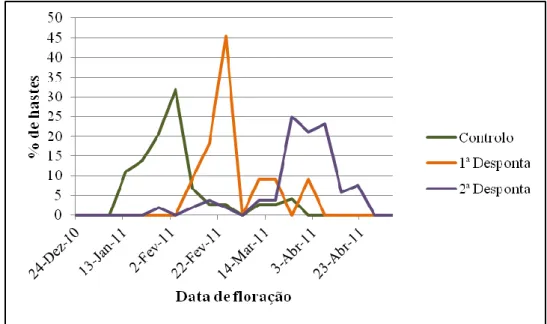 Figura 15: Representação gráfica do perfil de floração de hastes reprodutivas com  desponta, da cultivar „Tang o‟  da Ribeira Seca, no ano cultural 2009/2010