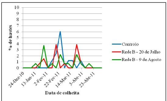 Figura 16: Representação gráfica do perfil de floração de hastes reprodutivas com  desponta, da cultivar „Tang o‟ da Ribeira Seca, no ano cultural 2010/2011