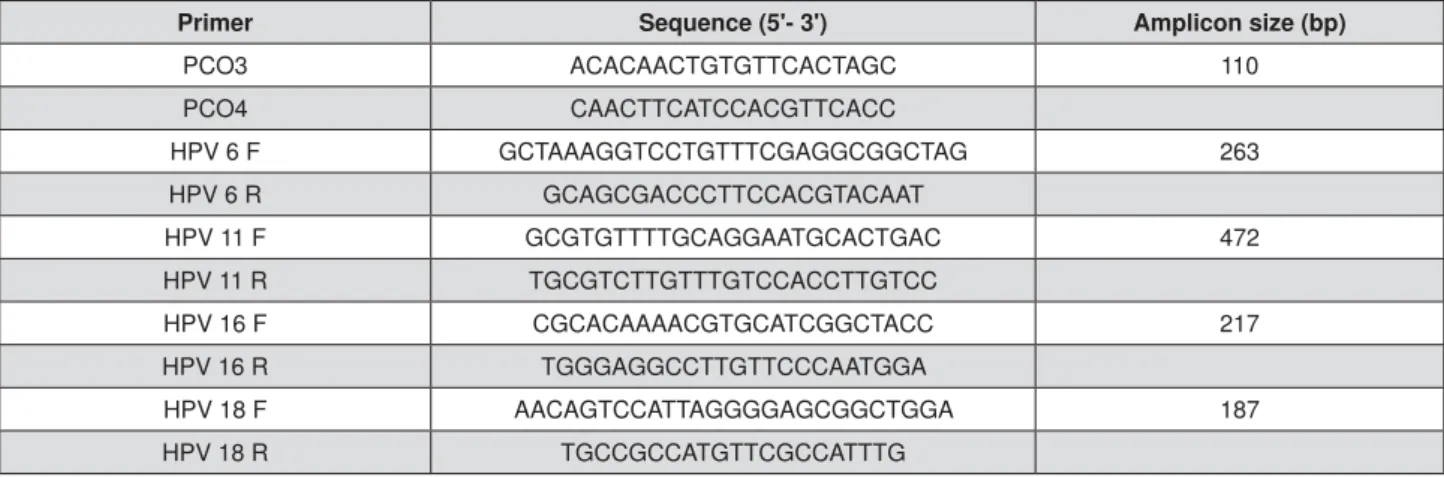Figure 1- Primer sequences used for PCR