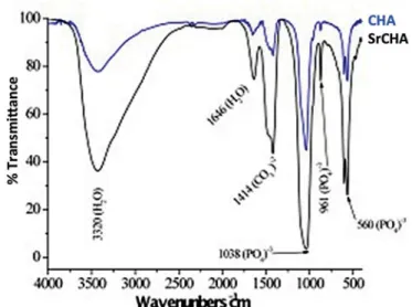 Figure 2-  Infrared Fourier transform spectrum of CHA and SrCHA. We observed major bands regarding phosphate and carbonate groups,  a characteristic of carbonated hydroxyapatite