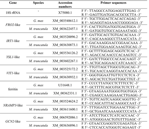Table 1 – Gene accession numbers and forward and reverse primer sequences used in  quantitative Real-Time PCR analysis 