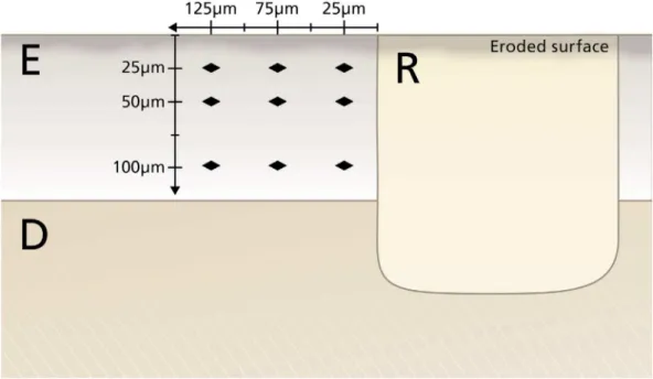 Figure 2-  Schematic drawing of the cross-sectional surface microhardness (CSMH) measurements