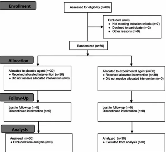 Figure 2-  Flow chart diagram detaching the enrollment, allocation, follow-up, and analysis during the study (CONSORT Statement)