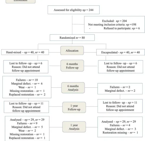 Figure 1- CONSORT participant lowchart. np=number of patients; nr=number of restorations