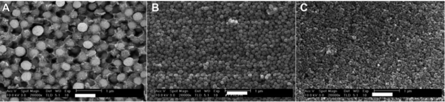 Figure 3-  Scanning electron microscopy (SEM) photographs of illers containing experimental lowable resin composites (magniication  20,000×)