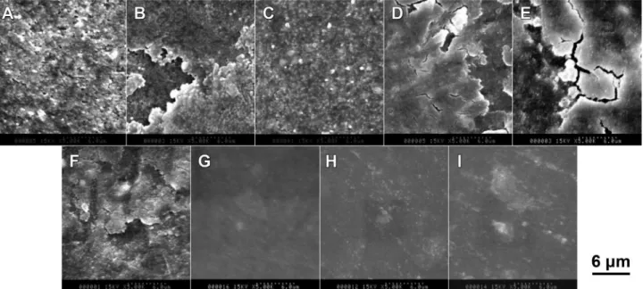Figure 6-  Representative scanning electron microscopy (SEM) photographs of worn material surfaces after 40,000 two-body wear cycles  (×5,000 magniication )
