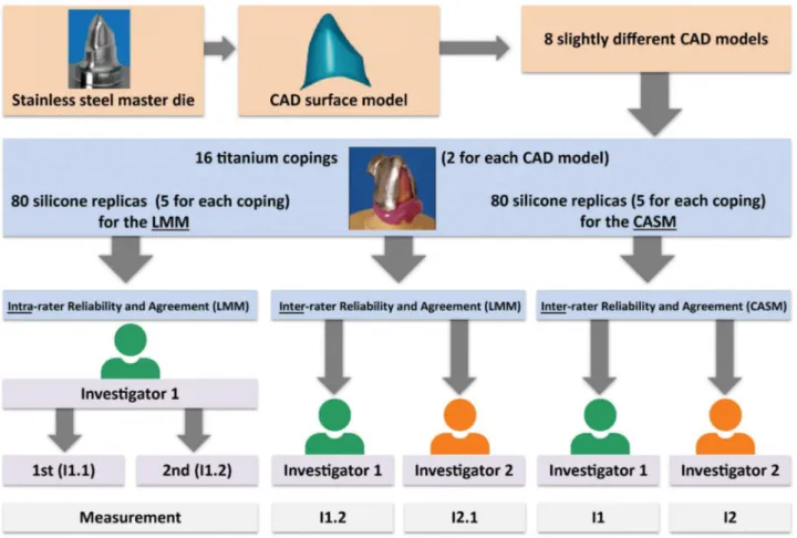 Figure 1-  Study protocol; CAD= computer-aided design. LMM= light microscopy measurement; CASM= computer-assisted measurement; 