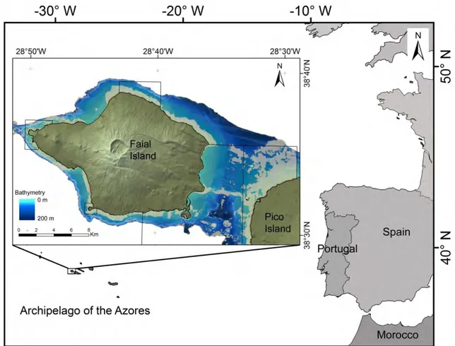 Figure  1.3:  Map of the study area that encompasses  shallow habitats down to 40 m around Faial and  Pico Islands in the Azores archipelago