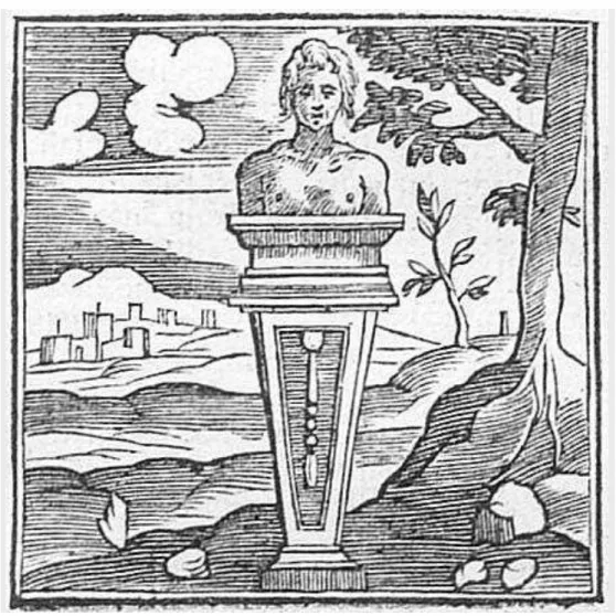 Figura 13 - Terminus 