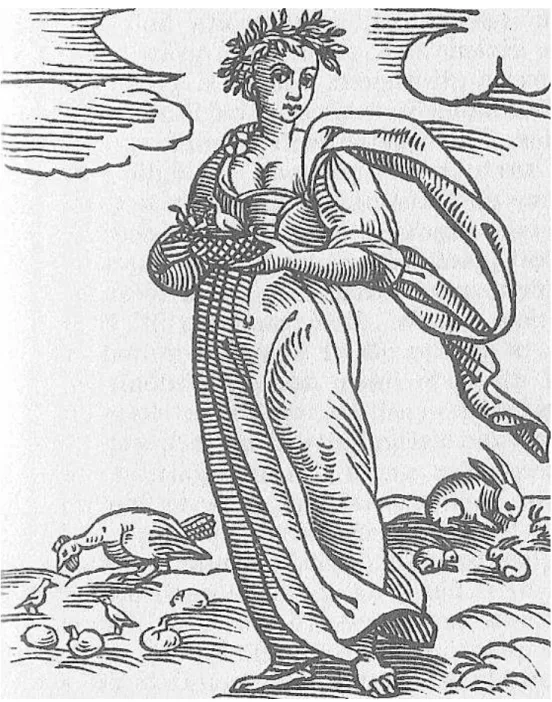 Figura 18 - Fecundidade 