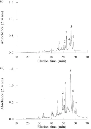 Fig. 5. RP-HPLC peptide pro®les of caprine caseinate by 10 h of hydrolysis catalysed by cardosin A (i) and B (ii).