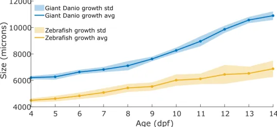 Figure 3.1: Growth curves of Giant Danio and Zebrafish larvae, from 4 dpf to 14 dpf.