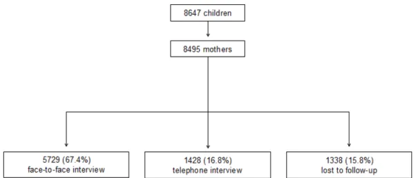 Figure 4. Maternal participation at follow-up, according to the different strategies implemented