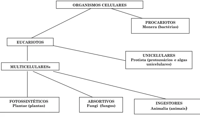 Figura  1  –  Representação  dos  principais  grupos  de  organismos  celulares.  Representam-se  os  grupos de organismos celulares destacando-se alguns de seus aspectos fundamentais e os reinos  que  constituem,  segundo  proposição  e  designação  de  W