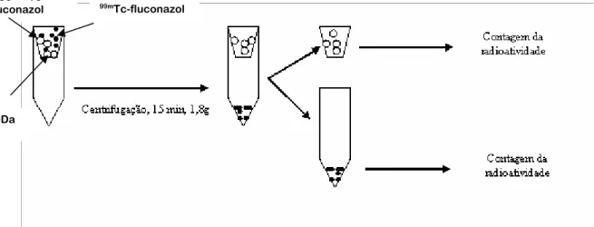 FIGURA 6 -  Representação esquemática da metodologia para separação do  99m Tc- Tc-fluconazol encapsulado nas NCs do  99m Tc-fluconazol não encapsulado e determinação  do teor de encapsulação