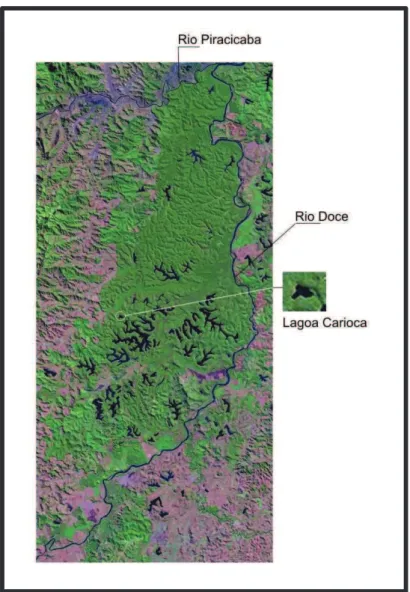 FIG.  2  –  Imagem  do  Parque  Estadual  do  Rio  Doce,  pelo  satélite  Landsat (Miranda &amp; Coutinho, 2004)