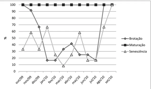 Figura 5 – Comportamento fenológico vegetativo da população de Psidium myrsinoides O. Berg  (Myrtaceae)  na  Serra  do  Caraça  – MG medido através  do  índice  de  atividade das  diferentes  fenofases ao longo de um ano