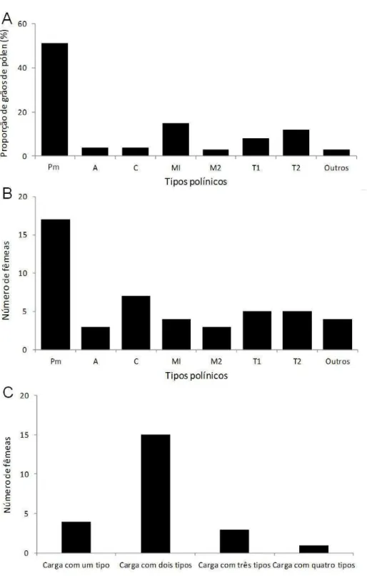 Figura  9.  Análise  da  carga  polínica  de  fêmeas  de  Pseudagapostemon  fluminensis  coletadas  em  Petunia  mantiqueirensis