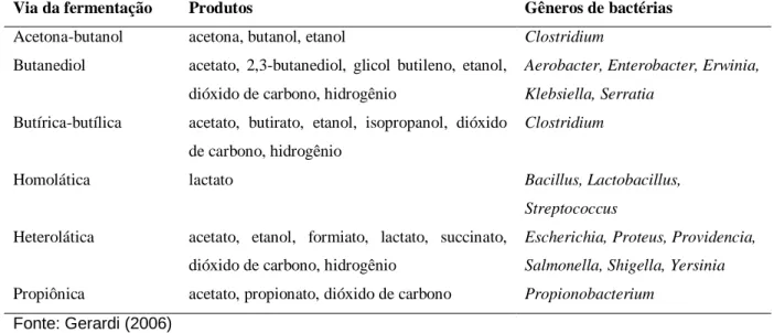 Tabela 3.2  –  Principais vias da fermentação em digestores anaeróbios Via da fermentação  Produtos  Gêneros de bactérias 