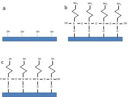 Figura  5.3  –  Representação  esquemática  de  suportes  sólidos  funcionalizados:  funcionalização  hidroxila (a), funcionalização amina (b) e funcionalização tiol (c)