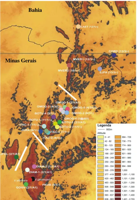 Figura 1.2: Distribuição geográfica das populações de Vellozia hirsuta, V. geotegens e V