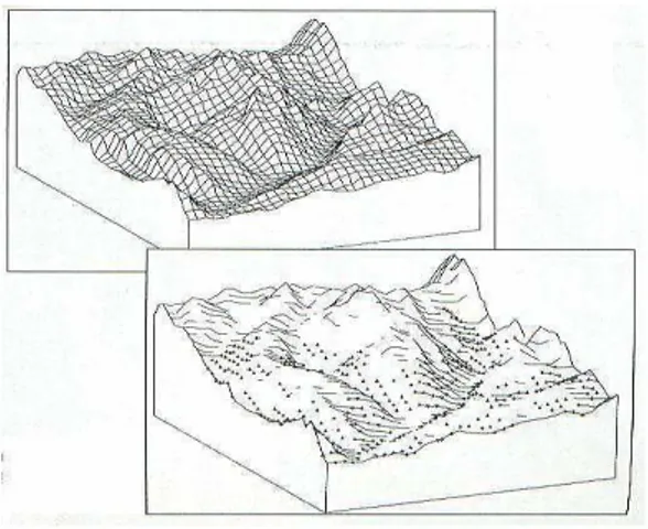 FIGURA 11: Exemplo de modelo digital de terreno  FONTE: Mottet, 1997, Pág. 106.