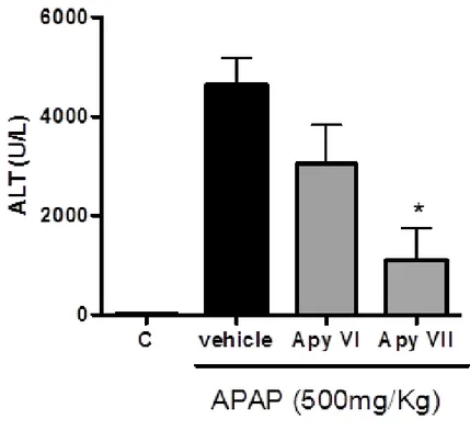 Gráfico 1 - Apirase diminui a lesão hepática induzida por sobredose de APAP. Camundongos 