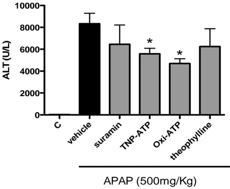 Gráfico  4  -  Antagonistas  de  receptores  purinérgicos  reduzem  lesão  hepática.  Camundongos 