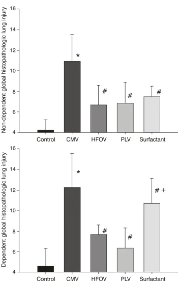 Figure 4 - Global histopathologic lung injury observed in the various experimental groups