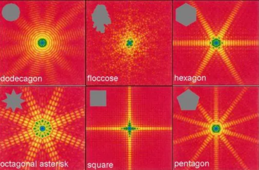 Figure 1-7 Diffraction patterns of non-spherical particles [13] 