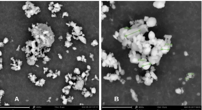 Figure  3-2  obtained  by  SEM  shows  oval  to  circularly  shaped  particles  with  variable  particle  size