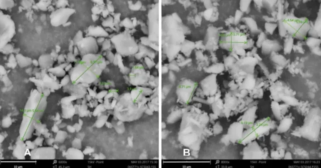 Figure 3-7 A. Image of ST71c at magnification 6000x - 15 kV - Point [06ST71c.SCS043.P1SS]   