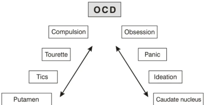 Figure 1  - Schematic model of the obsessive-compulsive disorder