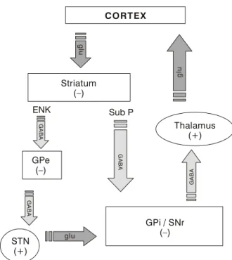 Figure 2 - Model of the cortico-striatal-thalamic-cortical circuitC O R T E XStriatum()GPi / SNr()GPe()Thalamus(+)STN(+)Sub PENKGABAGABAGABAgluglugluGABA