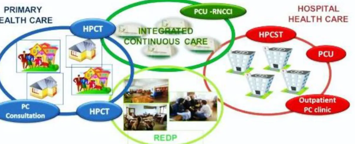Figure 1:  The Portuguese Palliative Care Network  – Organisational Model (Gonçalves,  2018)