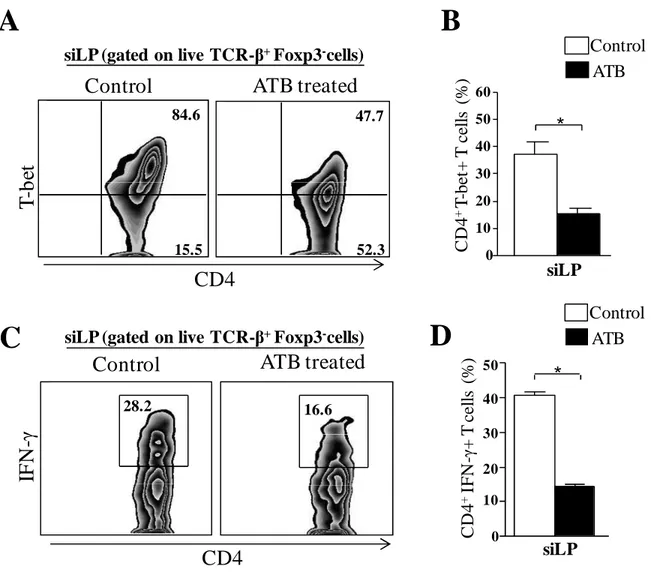 Fig 2. Reduced inflammatory immune responses in the small intestine of ATB treated mice infected with T