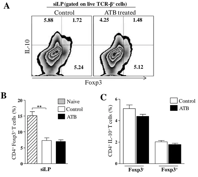 Fig 3. Regulatory responses are not affected by depletion of gut microbiota. Mice were treated with a cocktail of antibiotics for 4 weeks and then infected with 10 cysts of T
