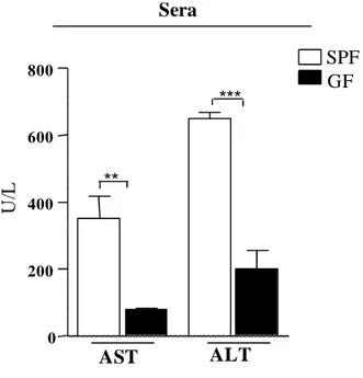 Fig 5. Lower levels of liver enzymes in sera from germfree mice infected with T. gondii