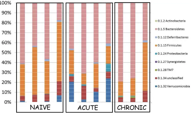 Fig 9. Composition of the gut microbiota at different time-points during T.