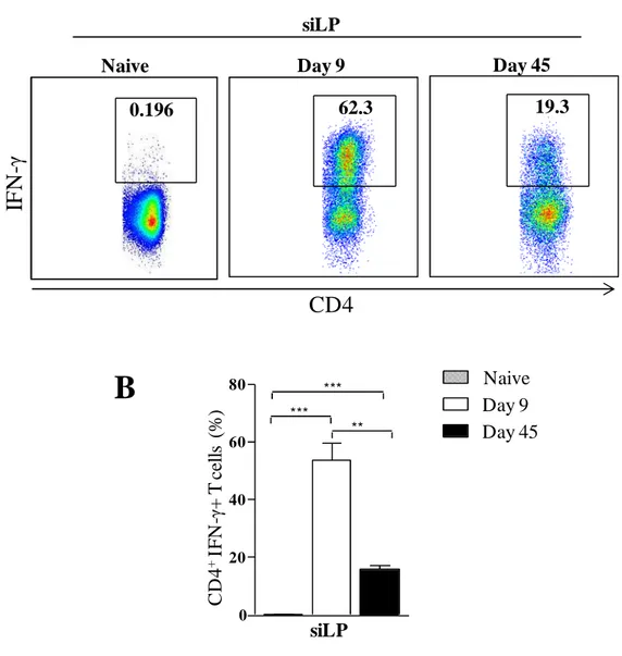 Fig 11. Temporal immune responses during T. gondii infection. Mice were infected with T