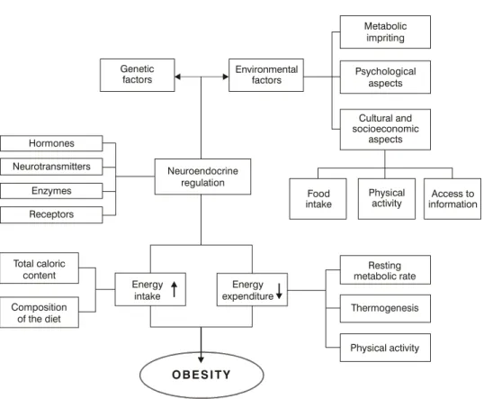 Figure 1 - Causal model for obesity.