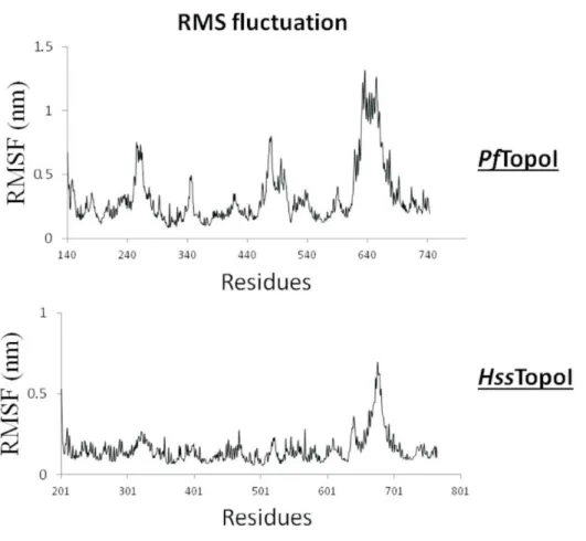 Figure  S2.  Per-residue  Root  Mean  Square  Fluctuations  (RMSF)  of  the  HssTopo1  and 