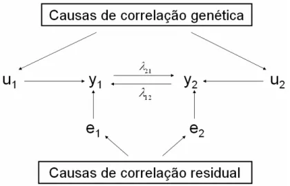 FIGURA 1.2 – Modelo considerando simultaneidade entre características: y 1  e y 2  são observações das 